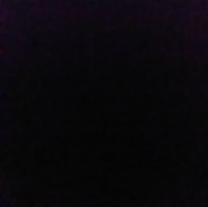 Meet your Posher, Talia